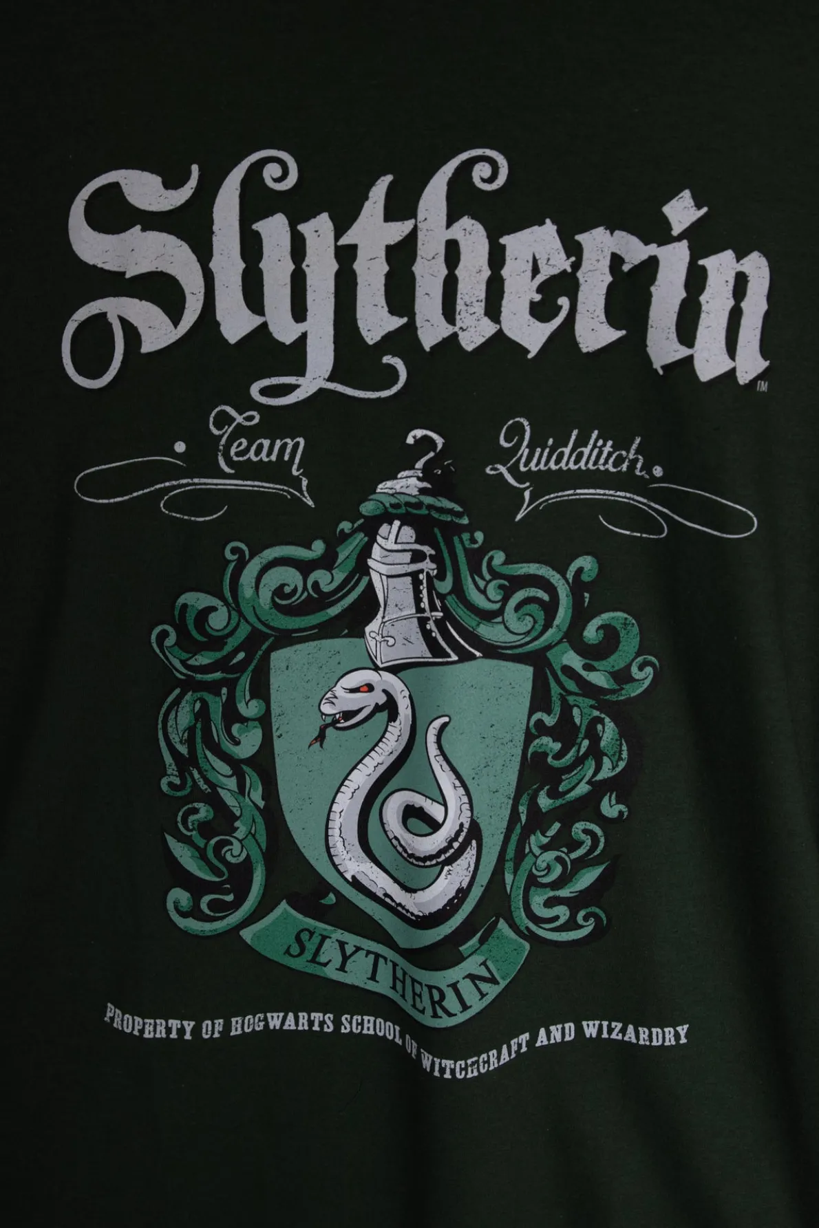 Daisy Street Licensed Relaxed T-Shirt With Harry Potter 'Slytherin' Crest Print-Women T-Shirts